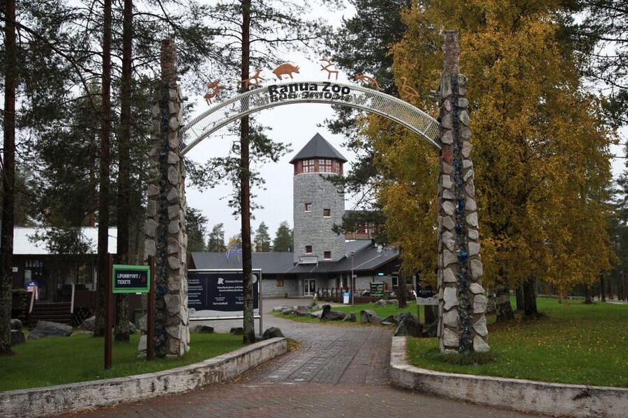 Rovaniemi: Ranua’s Wildlife Park Ticket with Transportation - The ride from Rovaniemi to Ranua