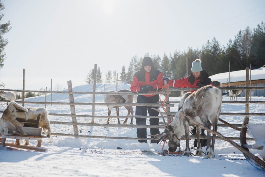 Rovaniemi: Reindeer Experience with Sleigh Ride - How the time and group size affect the experience