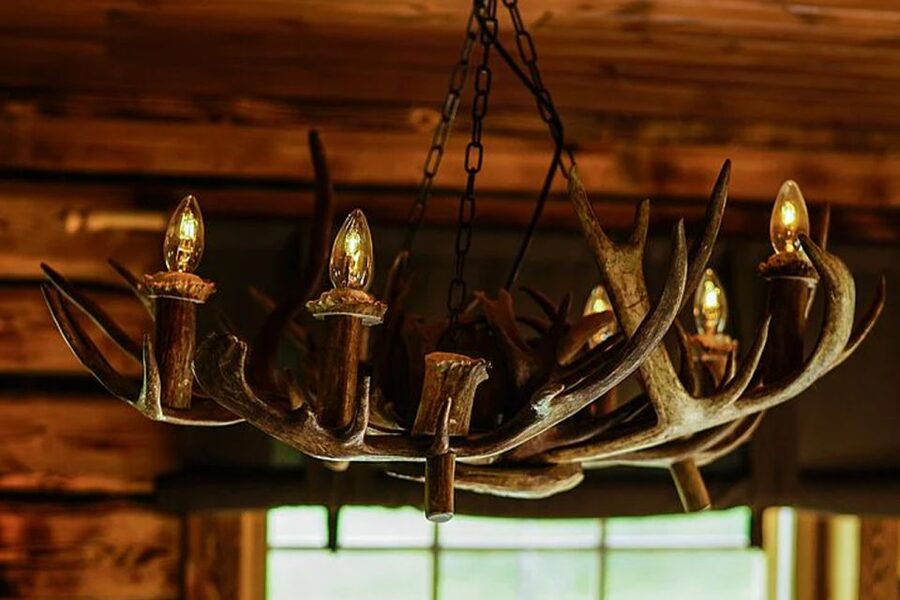 Rovaniemi: Reindeer Farm Visit in the Summer - Key points to know before booking
