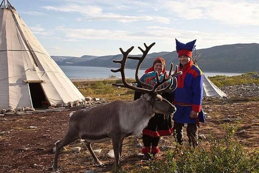 Rovaniemi: Reindeer Farm Visit in the Summer - Feeding time and photography