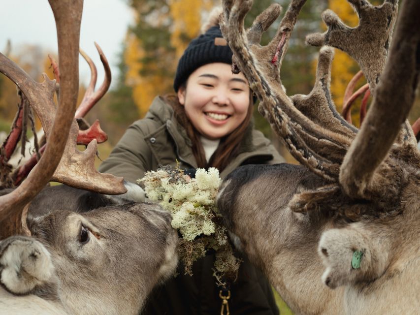Rovaniemi: Reindeer Farm Visit with Photographer - Languages, timing, and practical details