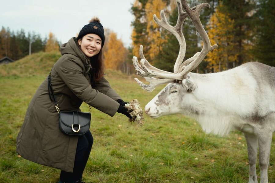 Rovaniemi: Reindeer Farm Visit with Photographer - Feeding the reindeer without rushing the moment