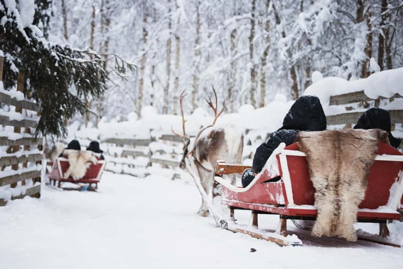 Rovaniemi: Reindeer, Huskies & Santa Claus Village - Reindeer sleighs and a look at herding life