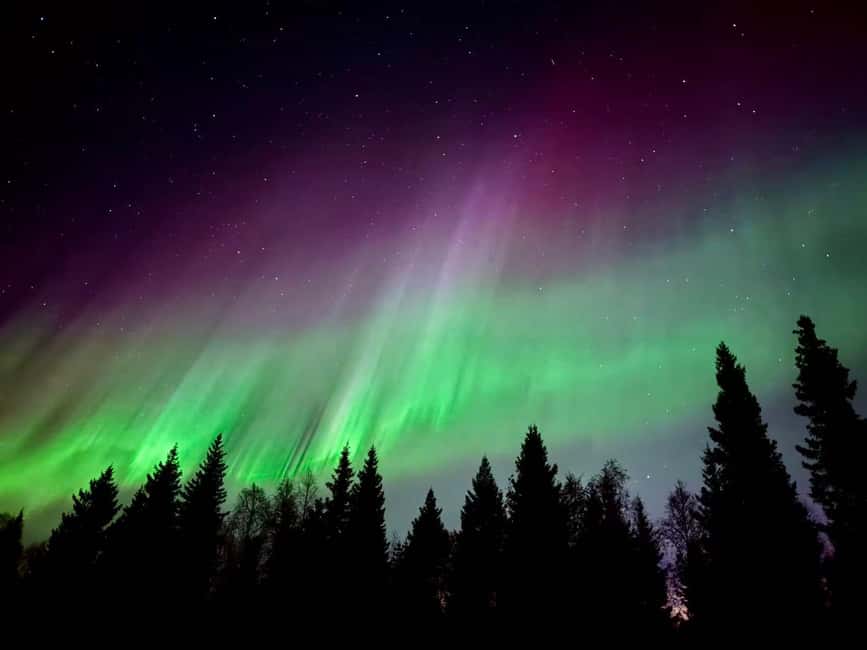 Rovaniemi: Reindeer, Huskies, Santa's Pets & Aurora Hunt - Free time between the morning and evening sections