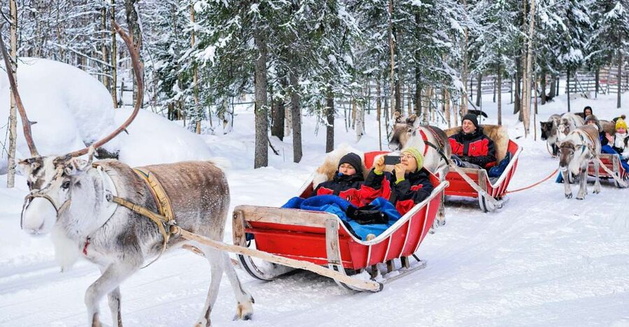 Rovaniemi: Reindeer Sleigh Ride with Hot Drink and Cookies - Key points at a glance