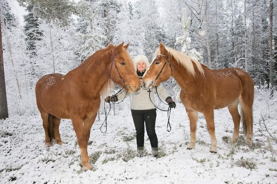 Rovaniemi: Riding Tour with Finnhorses at SCV - Who will enjoy this most