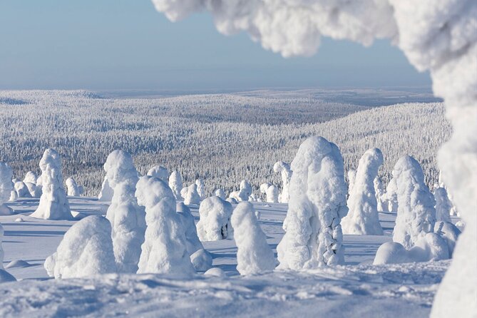 Rovaniemi: Riisitunturi Full-Day Wilderness Adventure & BBQ - A BBQ break in the winter forest