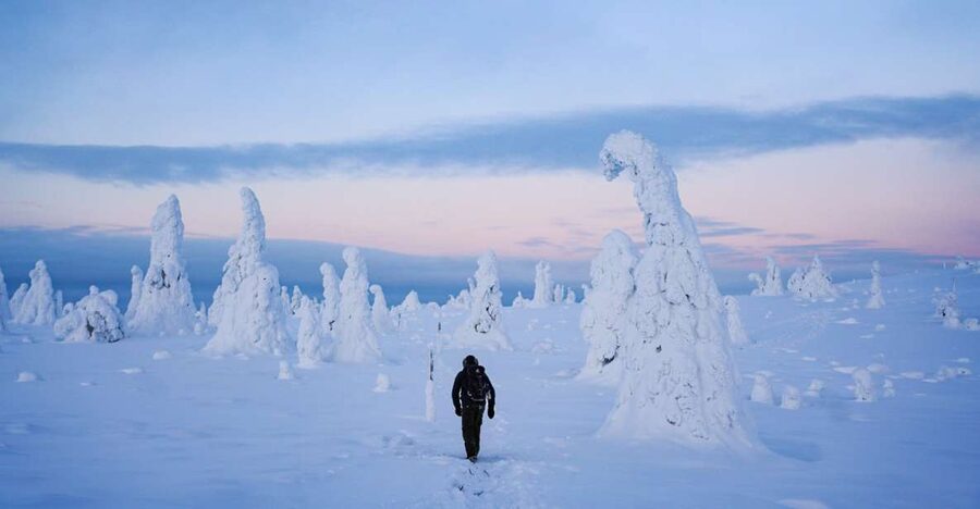 Rovaniemi: Riisitunturi National Park Day Trip with Lunch - Why Riisitunturi is worth the long drive