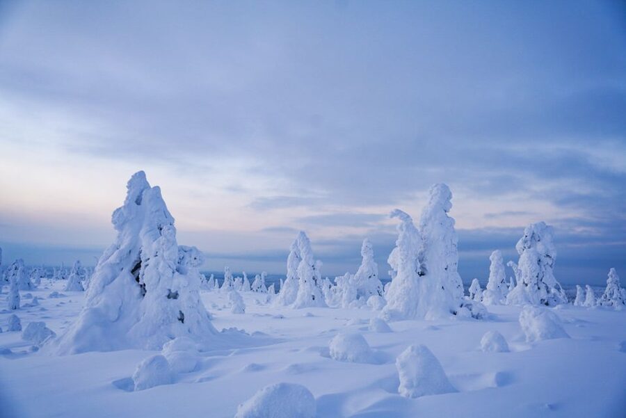 Rovaniemi: Riisitunturi National Park Day Trip with Lunch - The morning departure from Rovaniemi