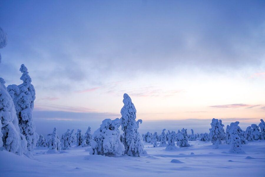 Rovaniemi: Riisitunturi National Park Day Trip with Lunch - The high point and the best photo stops