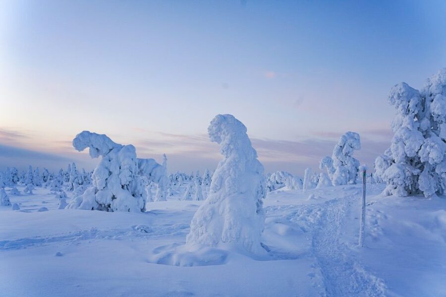 Rovaniemi: Riisitunturi National Park Day Trip with Lunch - Winter clothing makes or breaks the day