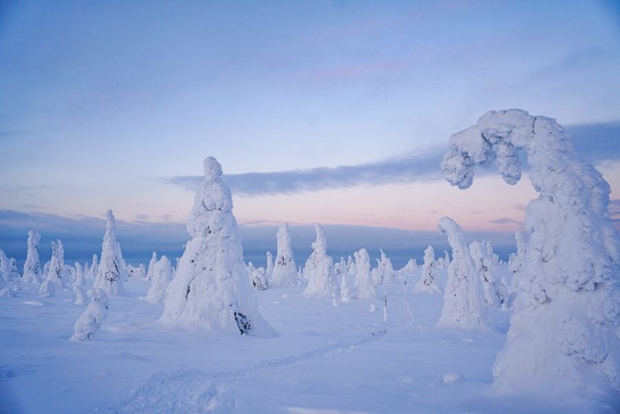Rovaniemi: Riisitunturi National Park Day Trip with Lunch - What the small group changes