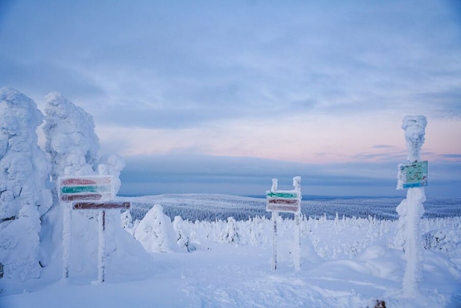 Rovaniemi: Riisitunturi National Park Day Trip with Lunch - My recommendation