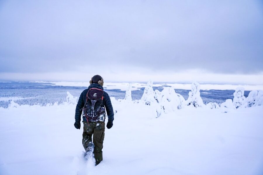 Rovaniemi: Riisitunturi National Park Day Trip with Lunch - A 4-kilometre walk through snow-heavy forest