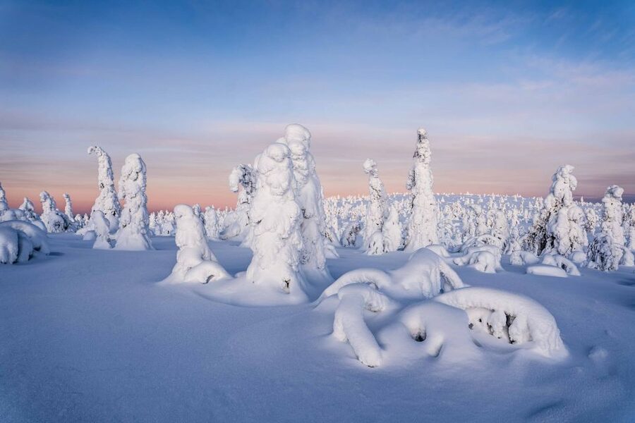 Rovaniemi: Riisitunturi National Park with Pro Photos & BBQ - Key points at a glance