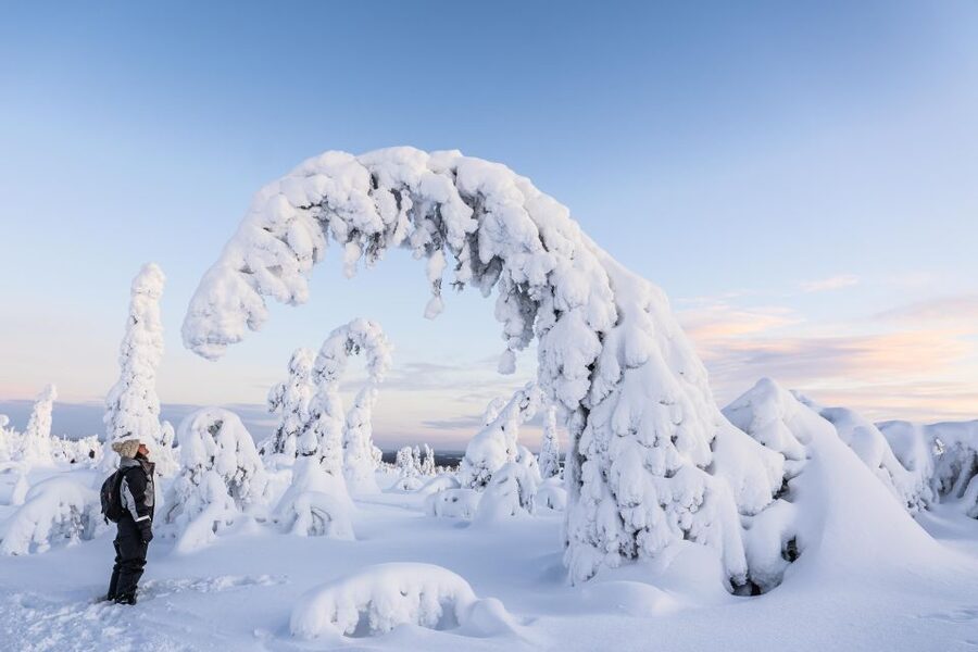 Rovaniemi: Riisitunturi National Park with Pro Photos & BBQ - The high fells and the best views