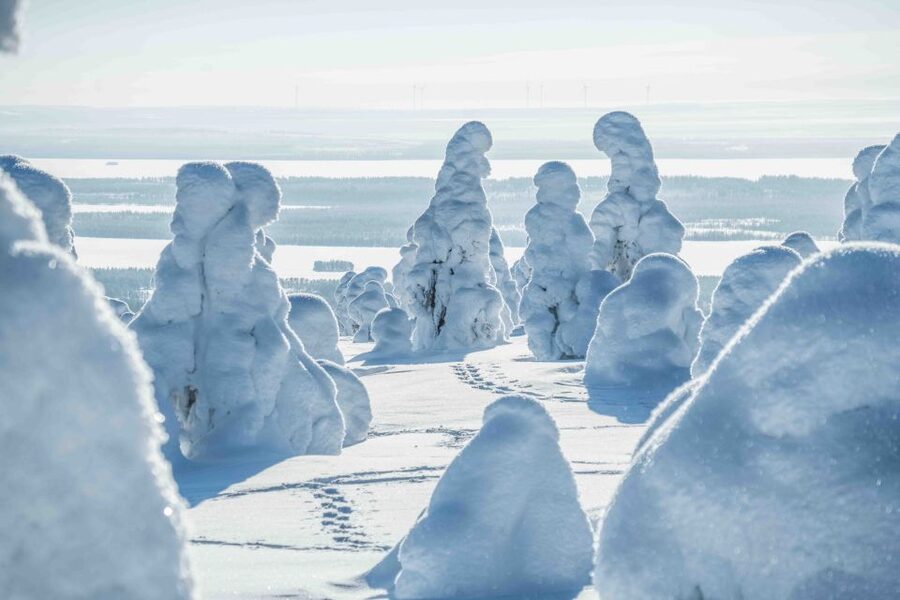 Rovaniemi: Riisitunturi National Park with Pro Photos & BBQ - Campfire food in the middle of the park