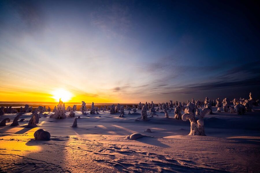 Rovaniemi: Riisitunturi National Park with Pro Photos & BBQ - Photos that make the $159 price easier to judge