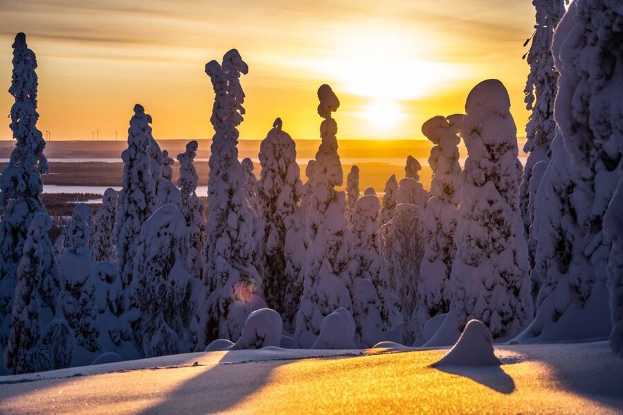 Rovaniemi: Riisitunturi National Park with Pro Photos & BBQ - The drive from Rovaniemi and what it means for your day