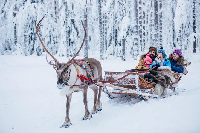 Rovaniemi Santa Claus Village Husky Reindeer Farm Arctic Museum - Is $298.47 a fair price?