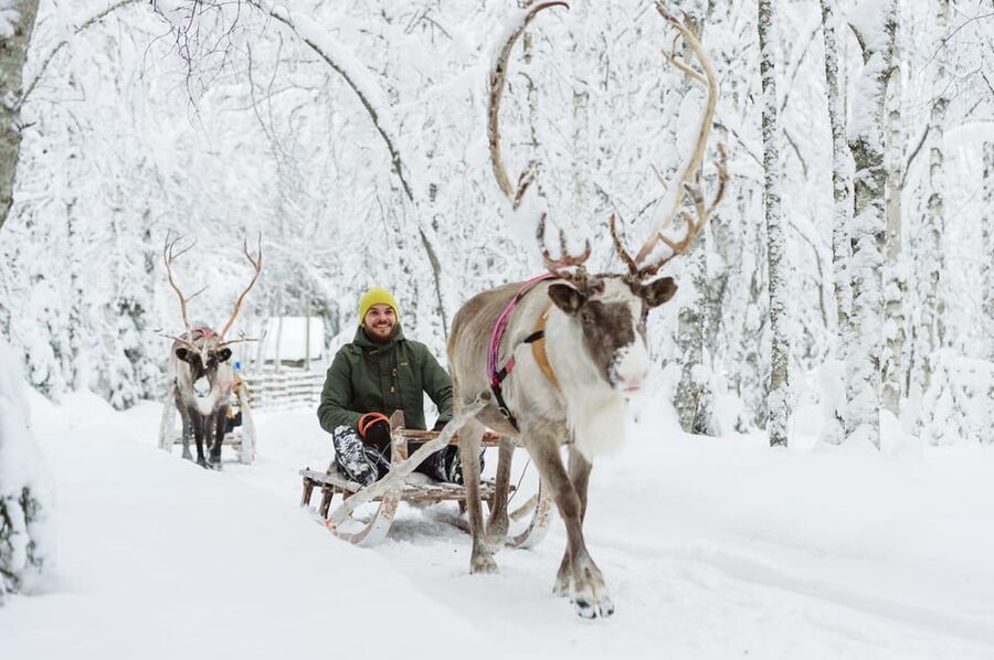 Rovaniemi: Santa Claus Village + Husky & Reindeer Sled Ride - Key points to know before booking
