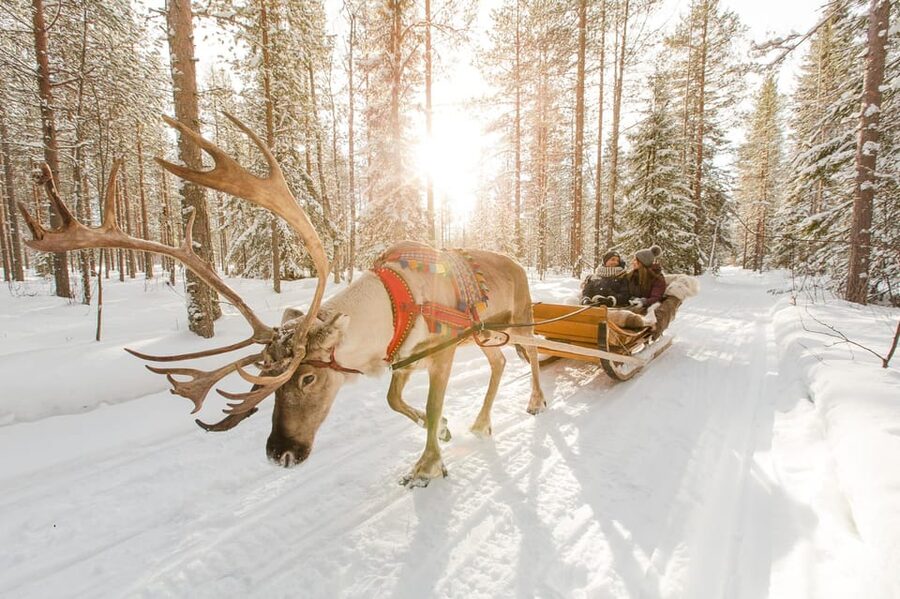Rovaniemi: Santa Claus Village + Husky & Reindeer Sled Ride - Meeting Santa and making the visit personal