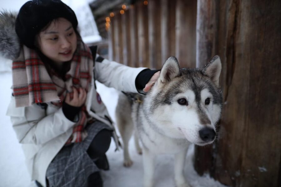 Rovaniemi: Santa Claus Village Tour Huskies & Reindeer ride - Who will enjoy this tour most?