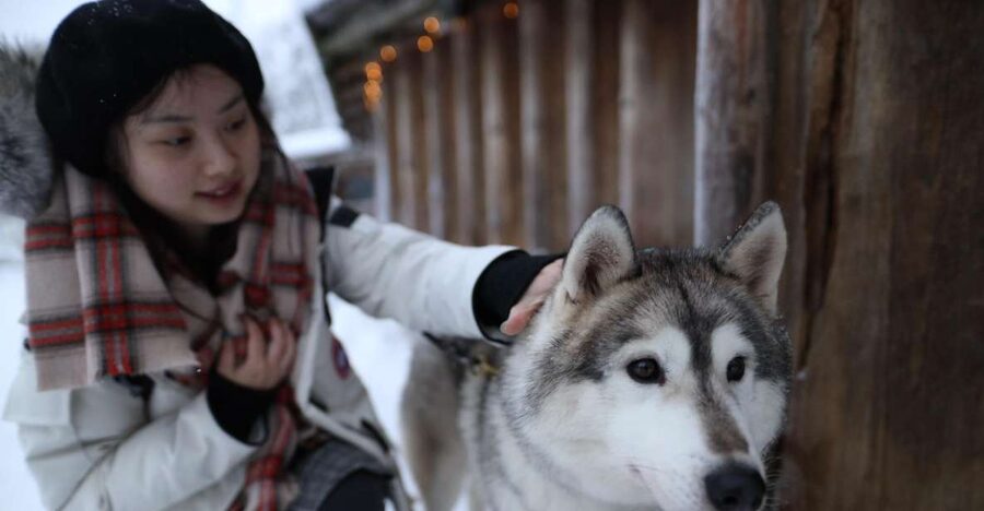 Rovaniemi: Santa Claus Village Tour Huskies & Reindeer Visit - Husky park visits focus on contact, not a long sled run