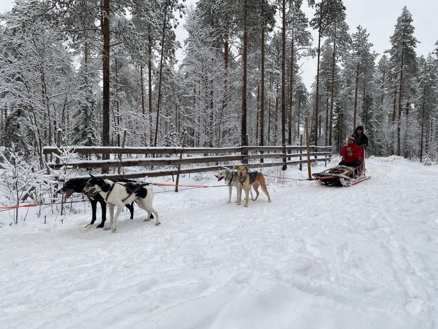 Rovaniemi: Santa Claus Village Tour Huskies & Reindeer Visit - Who will enjoy this Rovaniemi outing most?