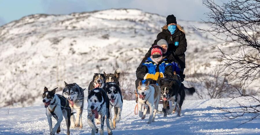 Rovaniemi: Santa's Village, Husky, & Reindeer Sled Ride - Santa Claus Village and the Arctic Circle