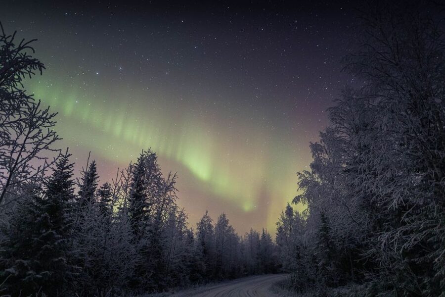 Rovaniemi: Sauna & Ice Swimming Tour with Dinner and Aurora - Guides, safety, and the tone of the evening