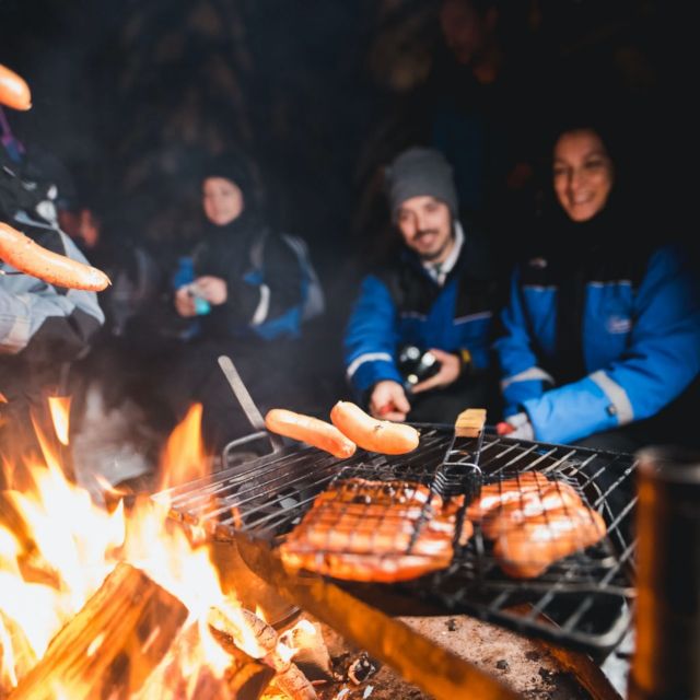 Rovaniemi: Search for Northern Lights Snowmobiling Trip - Key points at a glance