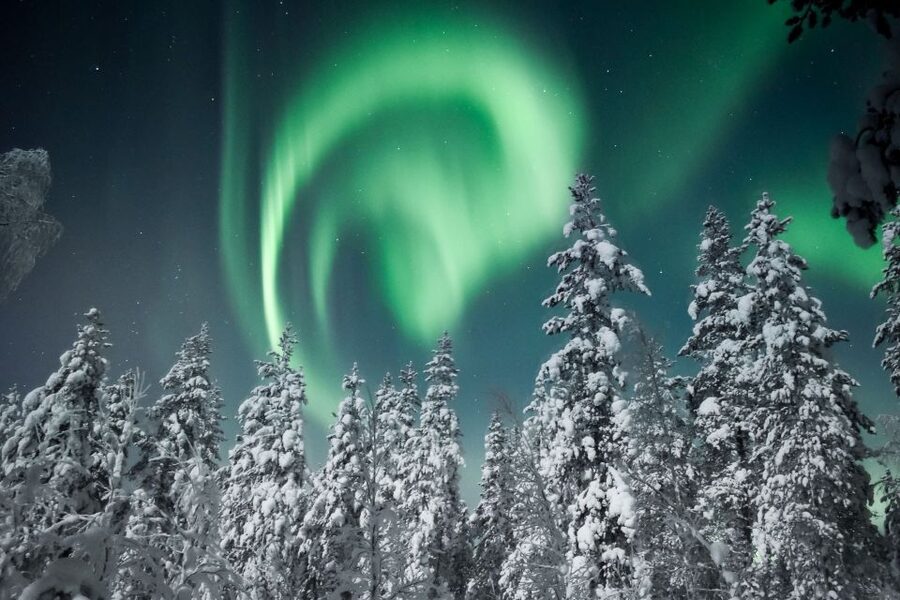 Rovaniemi: Search for Northern Lights Snowmobiling Trip - Who should book this snowmobile trip