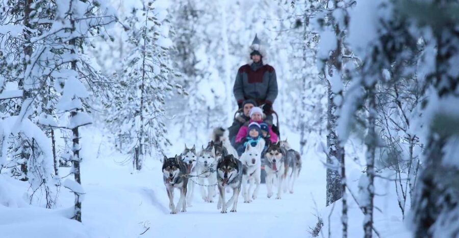 Rovaniemi: Self-Drive Husky Sleigh Ride Adventure - Leaving Rovaniemi for the Husky Kennel