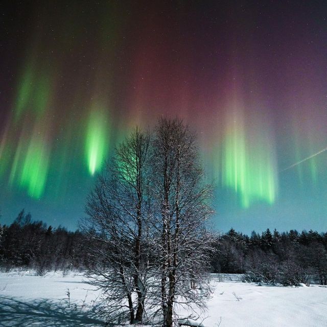 Rovaniemi: Small Group Aurora Hunt-full money back guarantee - Photography is part of the package