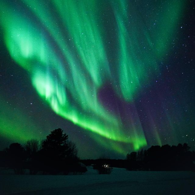 Rovaniemi: Small Group Aurora Hunt-full money back guarantee - Who will enjoy this most