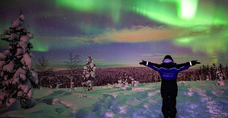 Rovaniemi: Small-Group Northern Lights Wilderness Tour - Small groups make the photo stop much better