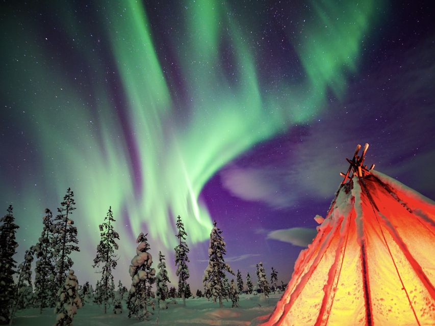 Rovaniemi: Small-Group Northern Lights Wilderness Tour - Who should book this four-hour outing?