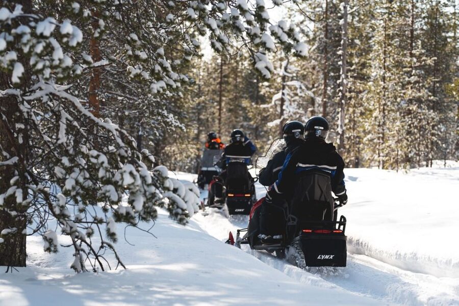 Rovaniemi: Snowmobile Adventure Tour for Adults Only - Key points before you book
