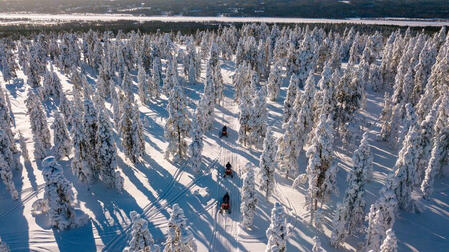 Rovaniemi: Snowmobile Adventure Tour for Adults Only - Stops, photos, biscuits, and hot berry juice