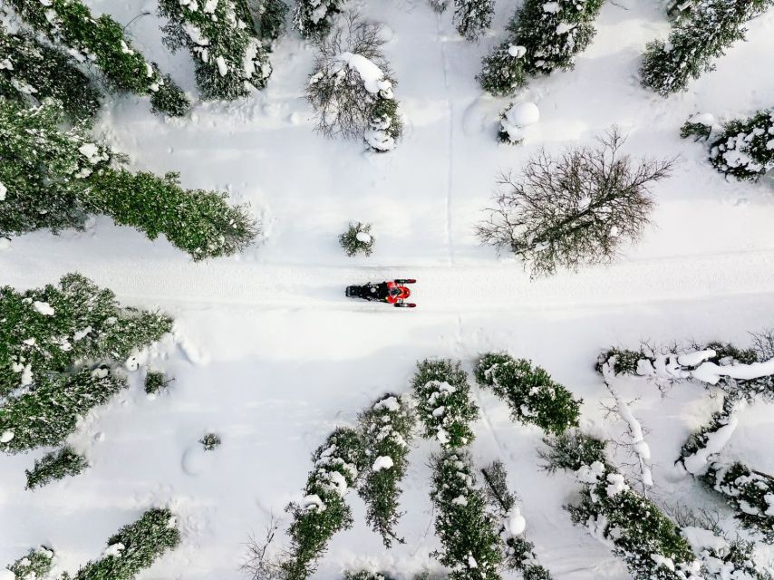 Rovaniemi: Snowmobile Safari Adventure - What the 1.5-hour schedule really means