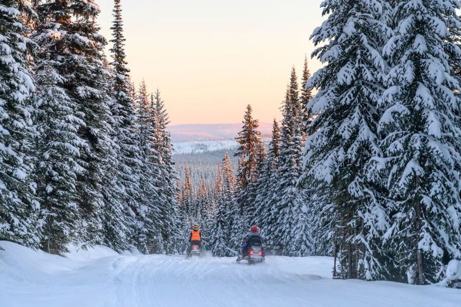 Rovaniemi: Snowmobile Safari Adventure - Who will enjoy this safari most