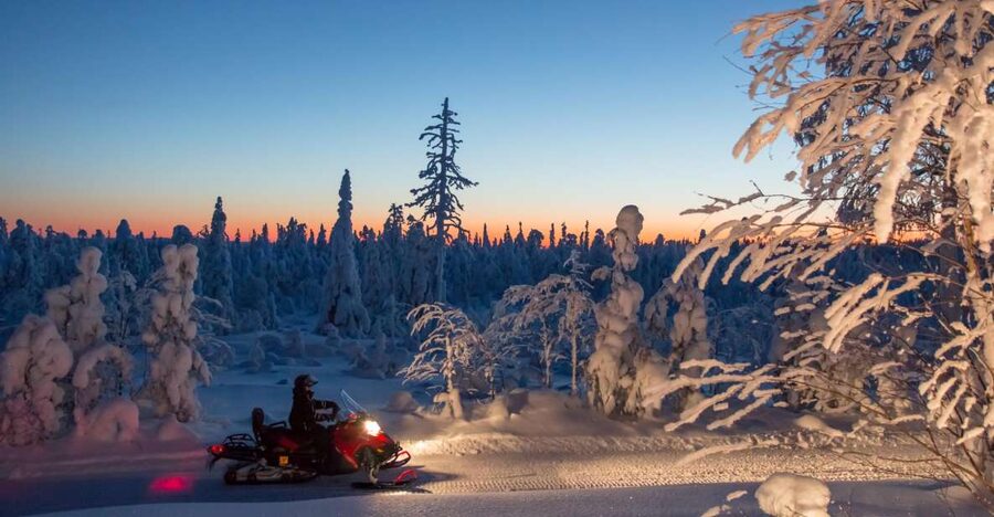 Rovaniemi: Snowmobile Safari & Campfire Evening Escape - Should you book the Safartica night safari?