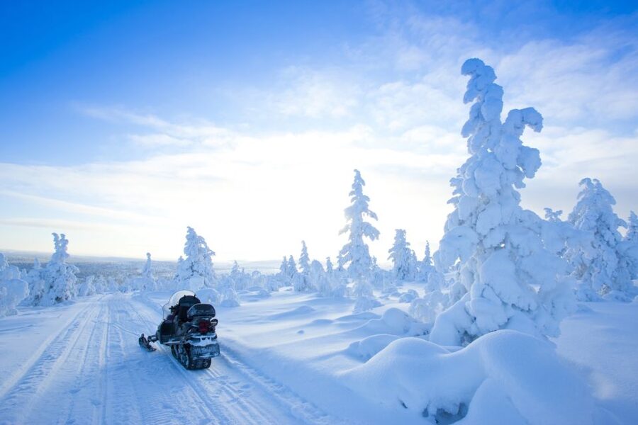 Rovaniemi: Snowmobile Safari in the Arctic Circle - Two hours through the Arctic Circle forests