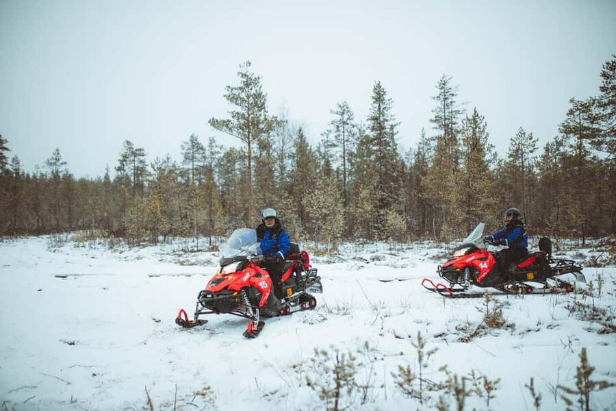 Rovaniemi: Snowmobile Safari into the Wilderness - Following the pine forest route