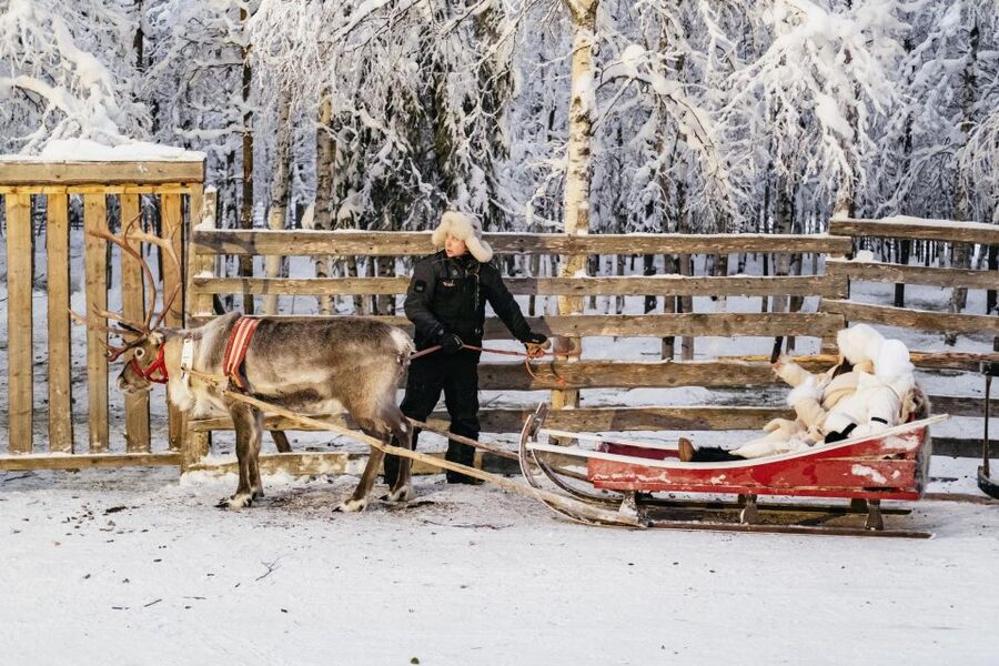 Rovaniemi: Snowmobile Safari, Reindeer & Husky Sleigh Ride - Practical details that can save you trouble