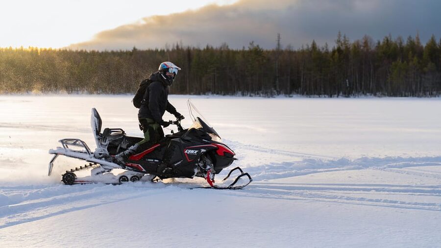 Rovaniemi: Snowmobile Safari, Reindeer & Husky Sleigh Ride - A quiet reindeer sleigh ride and Arctic Circle certificate