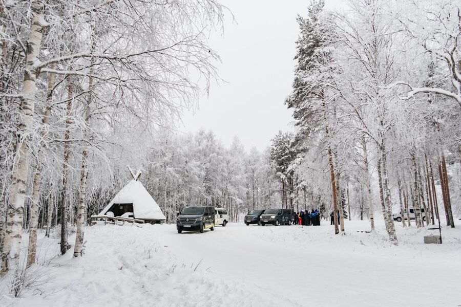 Rovaniemi: Snowmobile Safari, Reindeer & Husky Sleigh Ride - Who will enjoy this half-day outing