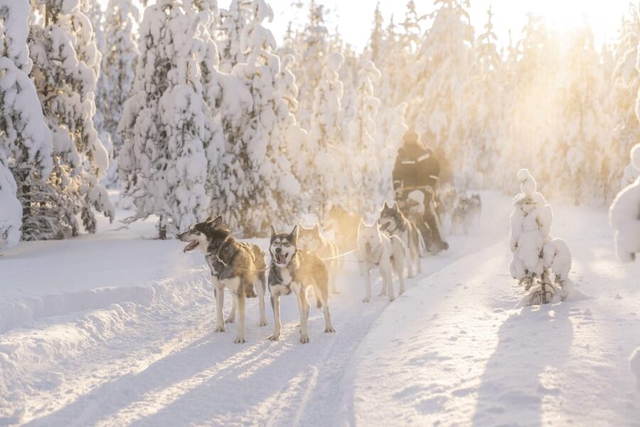 Rovaniemi: Snowmobile Safari, Reindeer & Husky Sleigh Ride - Getting dressed for Arctic conditions
