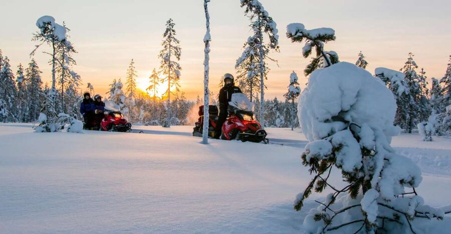 Rovaniemi: Snowmobile Safari to a Reindeer Farm - Key details before you book